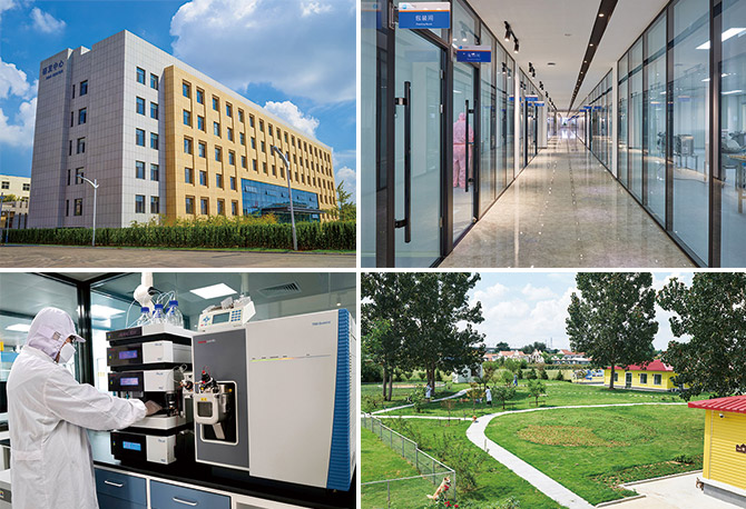 �ŵ�88(�й���)�ٷ���վ