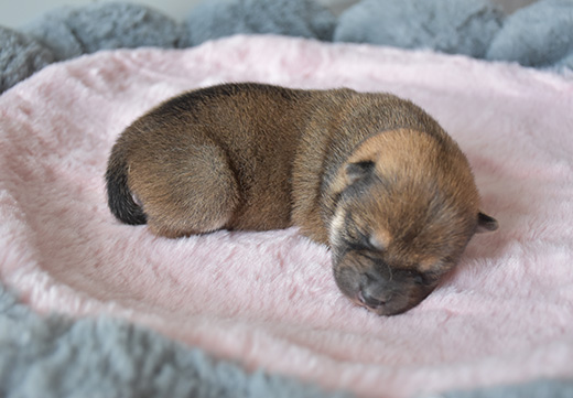 �ŵ�88(�й���)�ٷ���վ