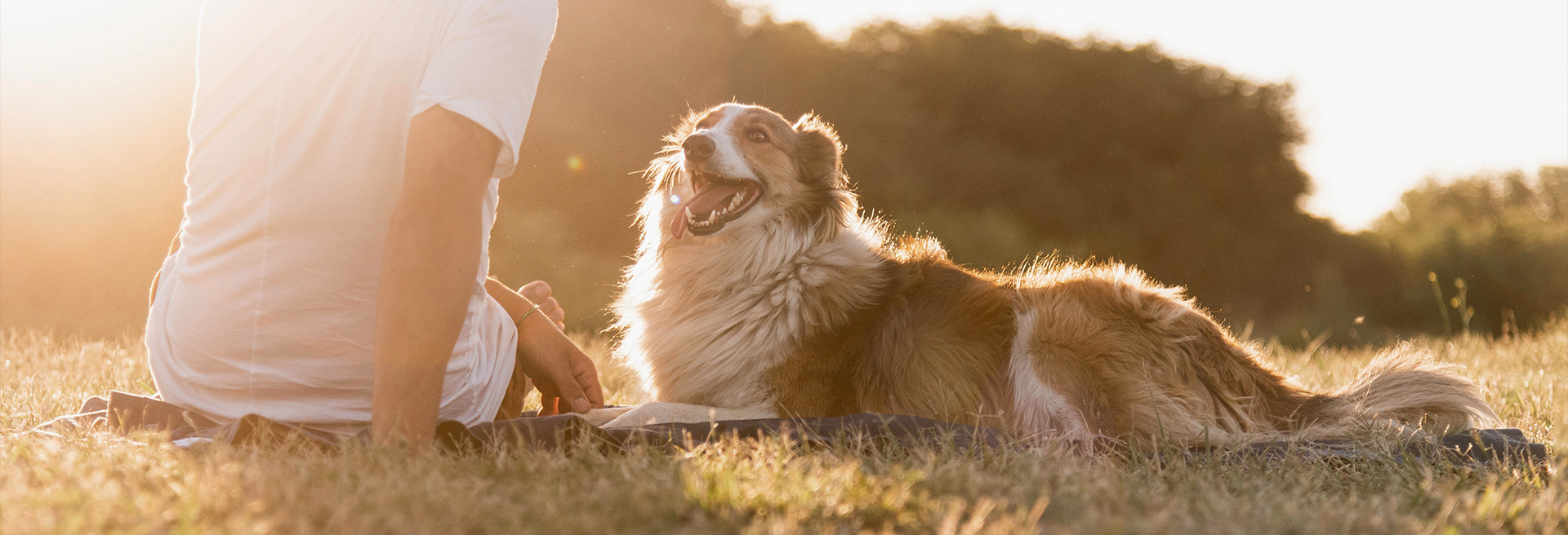 �ŵ�88(�й���)�ٷ���վ