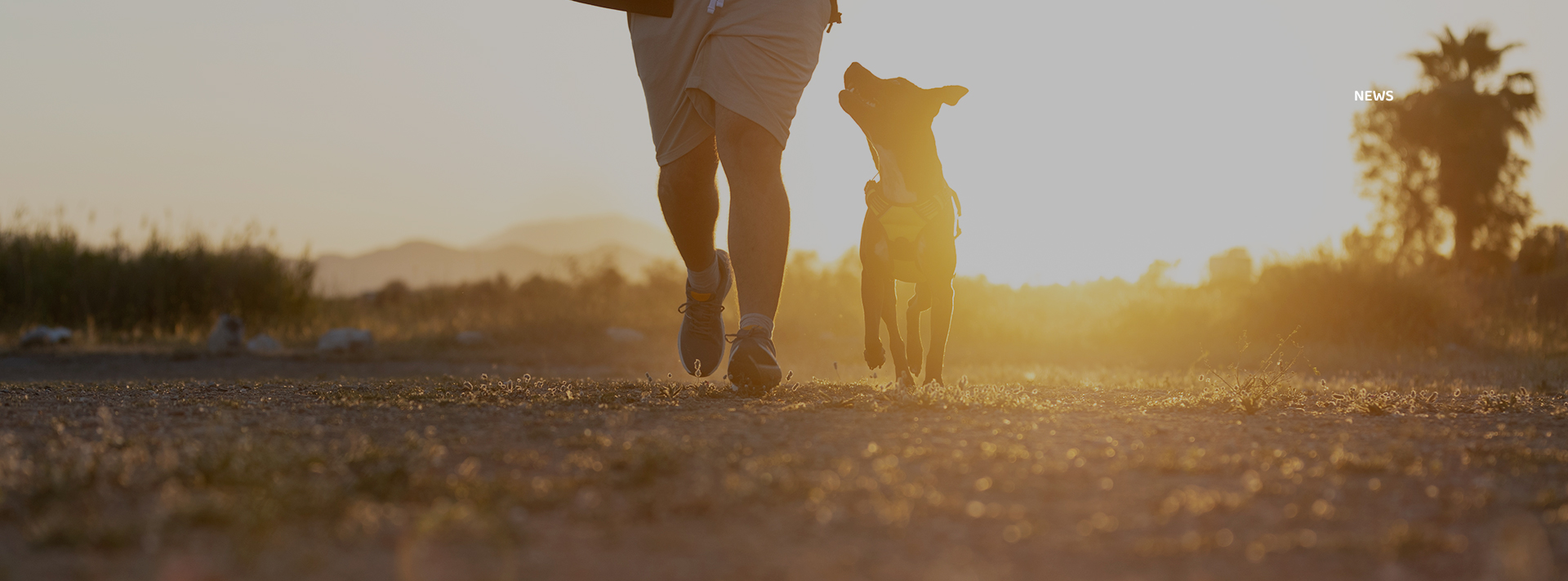 �ŵ�88(�й���)�ٷ���վ