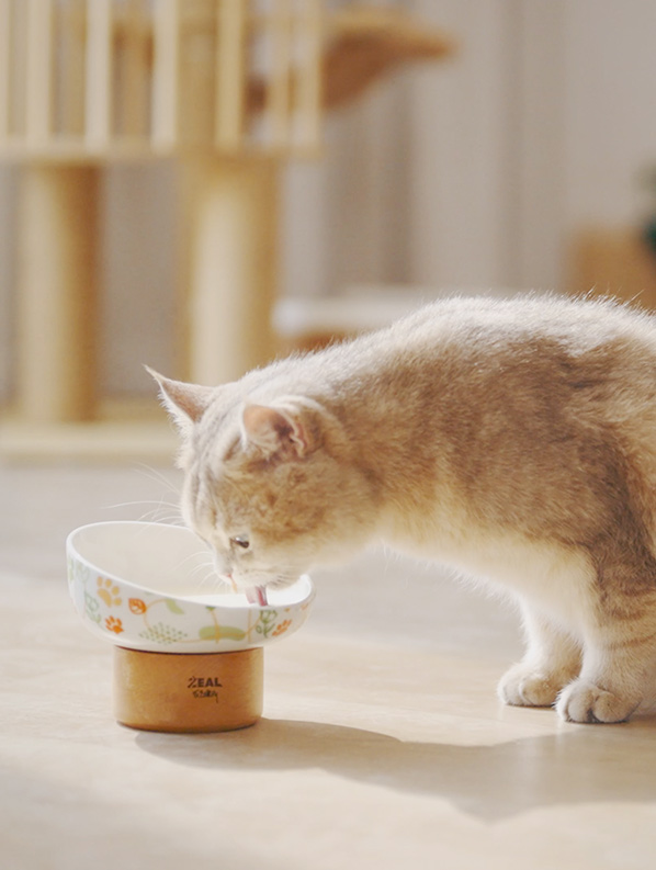 �ŵ�88(�й���)�ٷ���վ