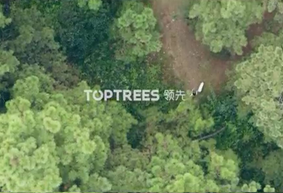 �ŵ�88(�й���)�ٷ���վ