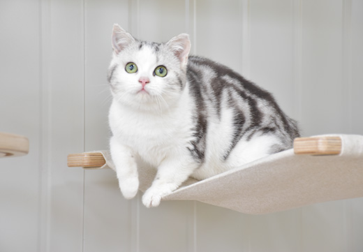 �ŵ�88(�й���)�ٷ���վ