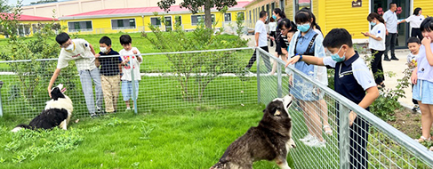 �ŵ�88(�й���)�ٷ���վ