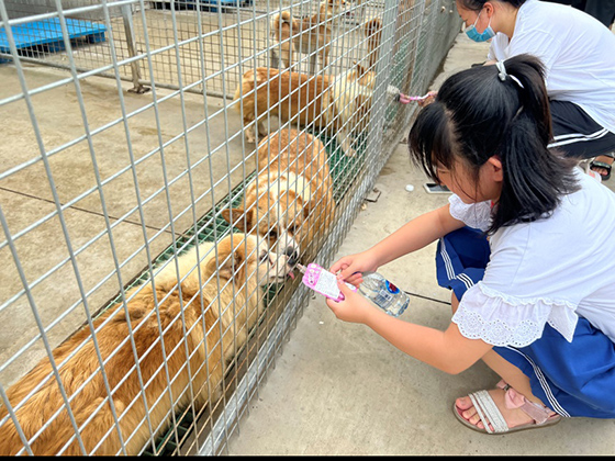 �ŵ�88(�й���)�ٷ���վ