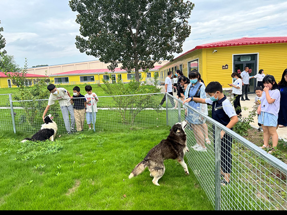 �ŵ�88(�й���)�ٷ���վ