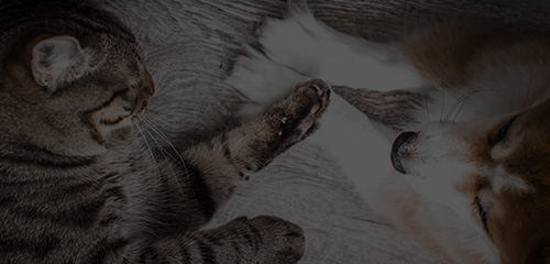 �ŵ�88(�й���)�ٷ���վ