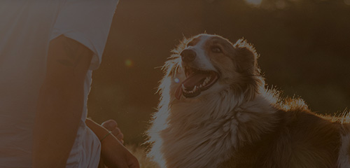 �ŵ�88(�й���)�ٷ���վ