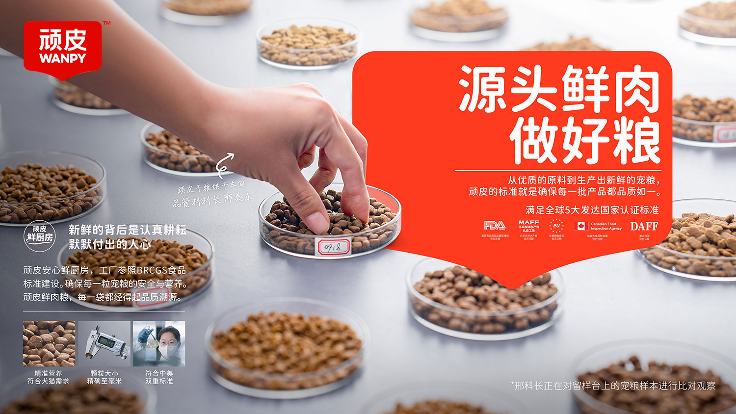 �ŵ�88(�й���)�ٷ���վ